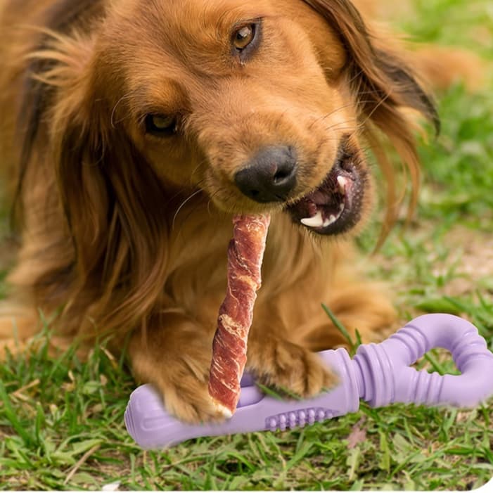 Durable Rotating Dog Chew Toy - Interactive Treat Dispenser Holder for Teeth Cleaning and Boredom Relief
